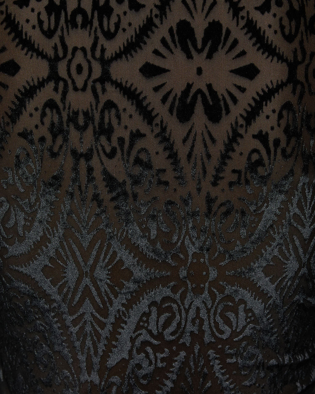 Tessy Velvet Burnout Turtleneck Top