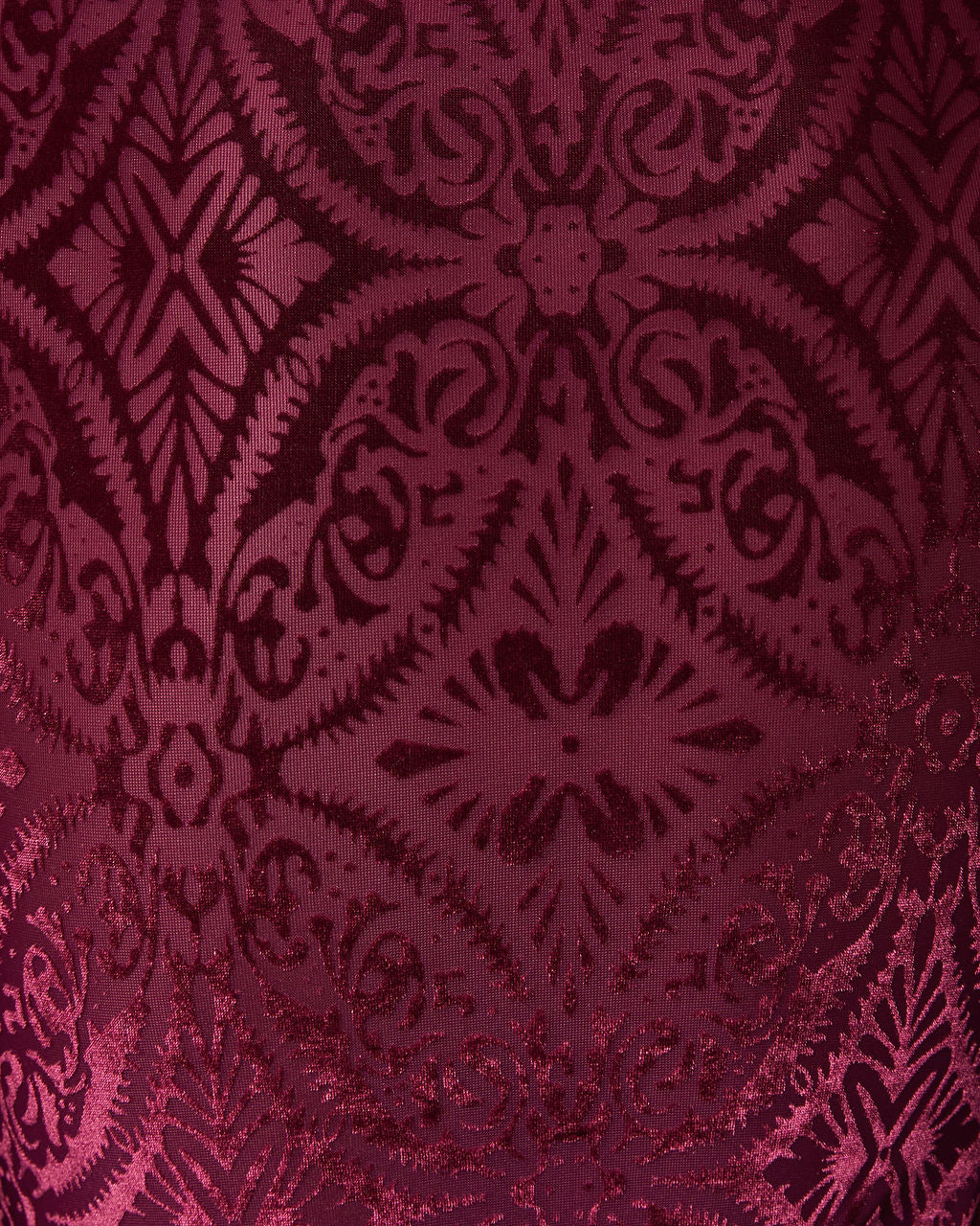 Tessy Velvet Burnout Turtleneck Top