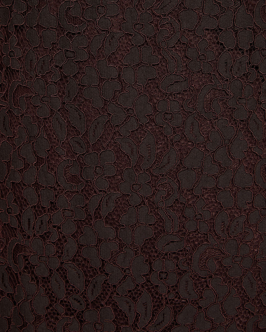 Softly Falling Floral Lace Maxi Dress