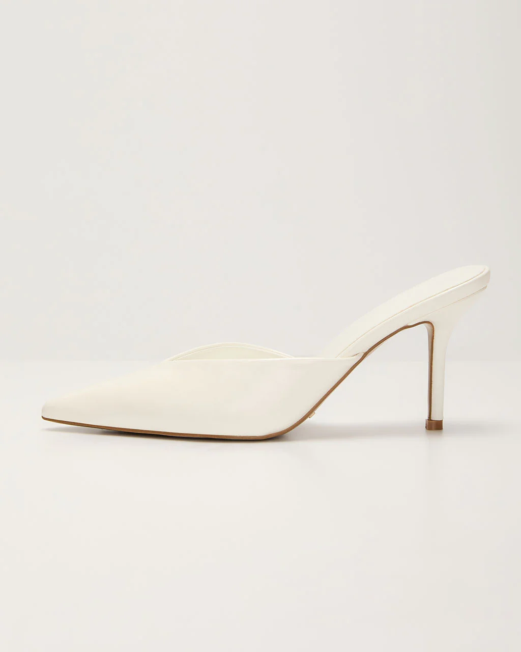 Sleek Moves Pointed Toe Mules